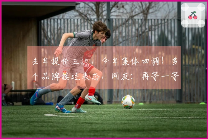 去年提价三次，今年集体回调！多个品牌接连表态，网友：再等一等，还有降价空间